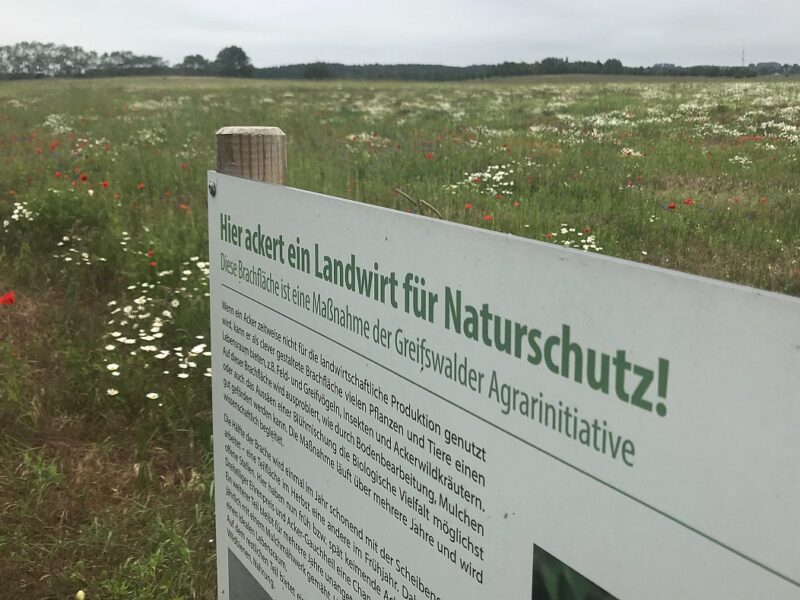 Landschaftpaten-Netzwerk Erstes Treffen