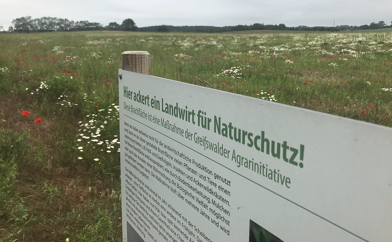 Schild Brache