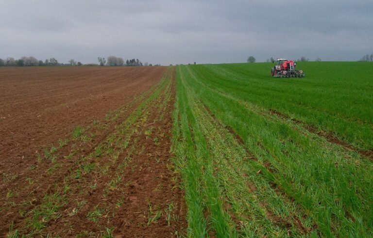 Feld wird bestellt mit Traktor. Links Boden offen, rechts Boden noch mit Wintergetreide bestanden.