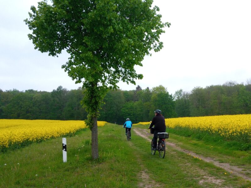 Stadtradeln aufs Land: Über die vorpommerschen Lehmplatten!