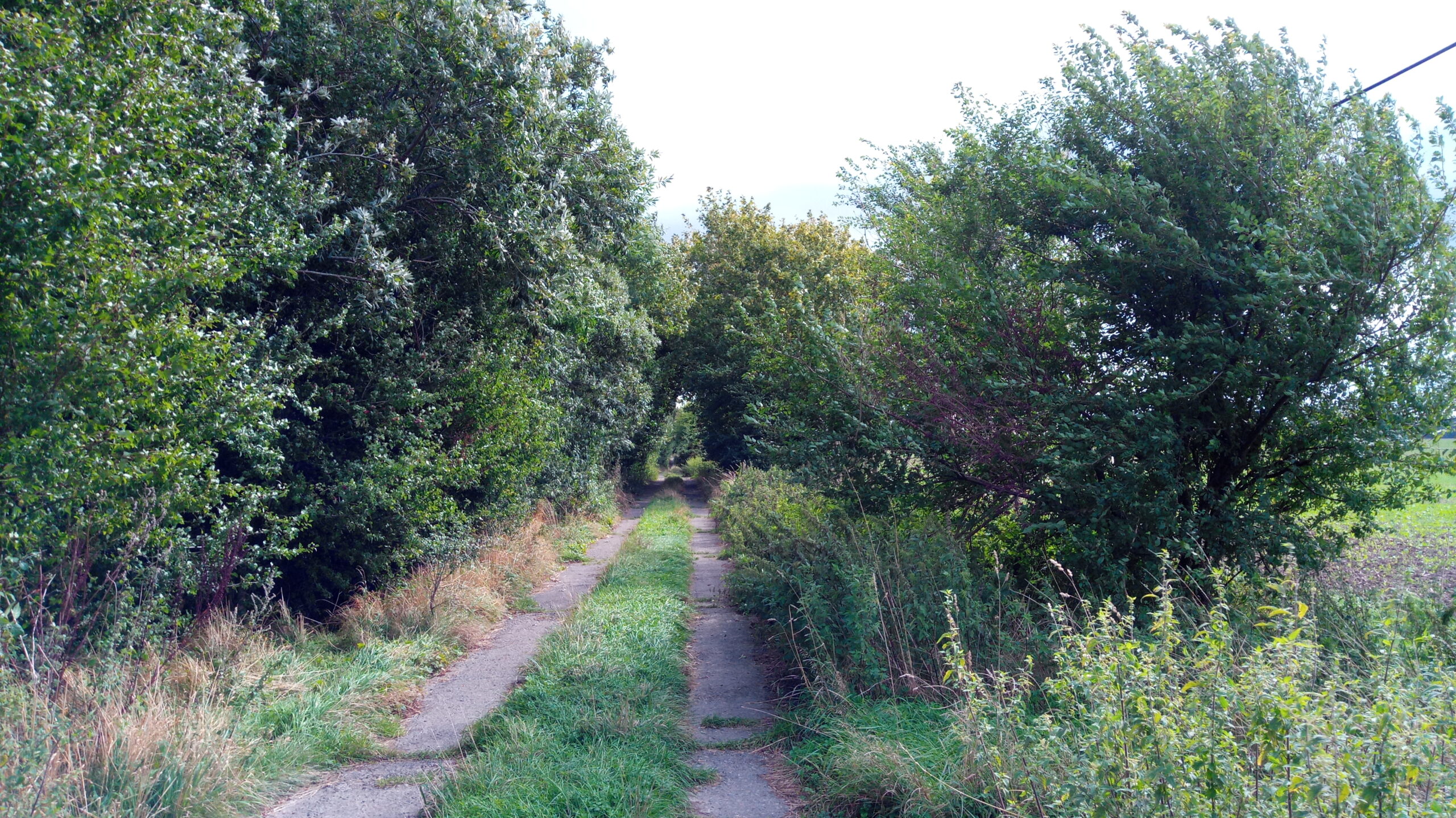 IMG 20220916 125016 4